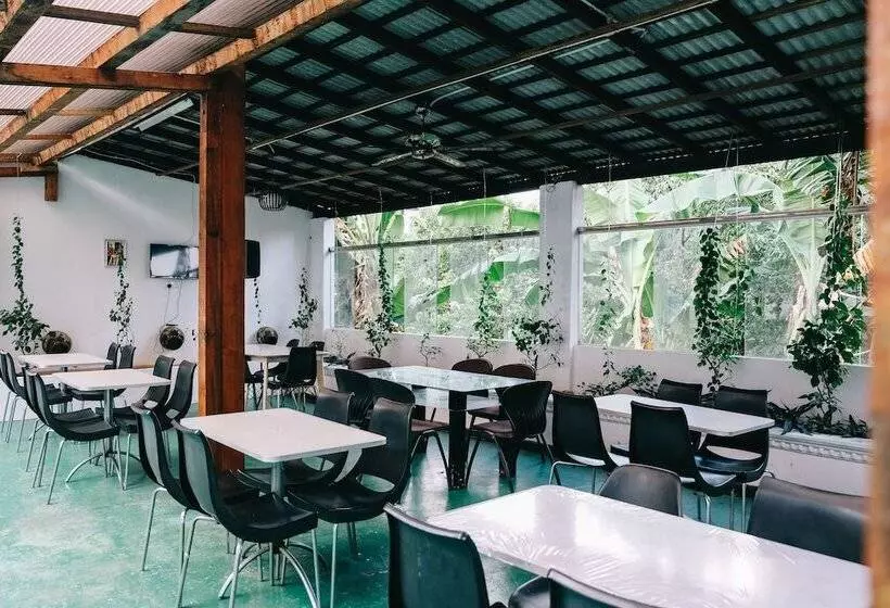 פנסיון Camelia Homestay