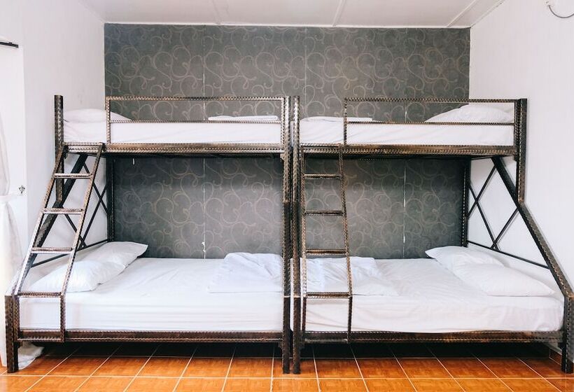 Pensjonat Camelia Homestay