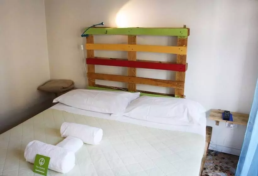 Pensió Ecologic Moroni
