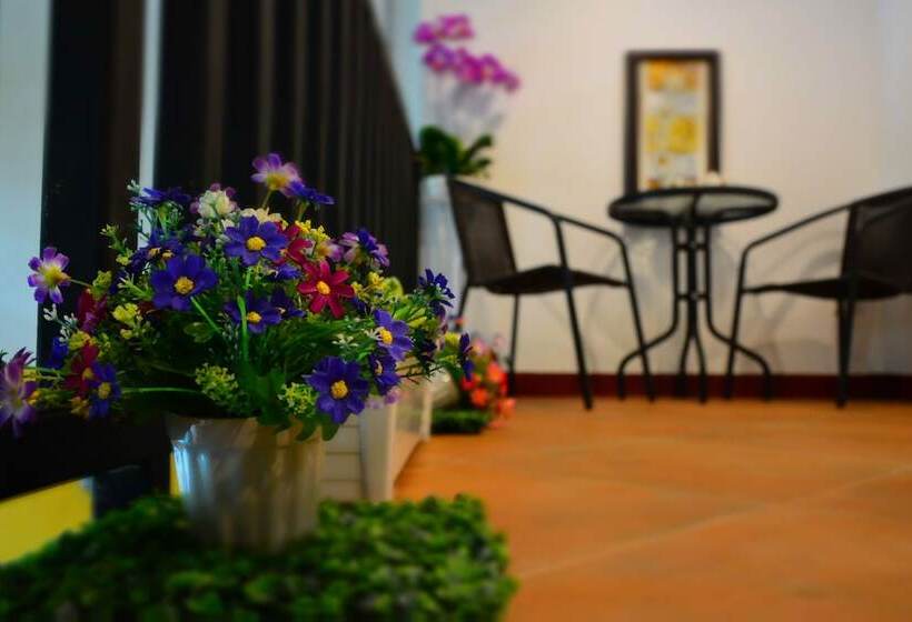 Pensão Seedling House