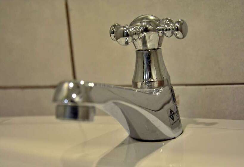 Pensão Seedling House