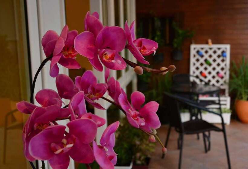 Pensão Seedling House