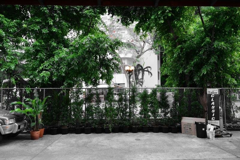 Pensão Seedling House