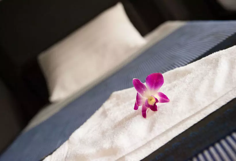 Общежитие Me Mates Villa