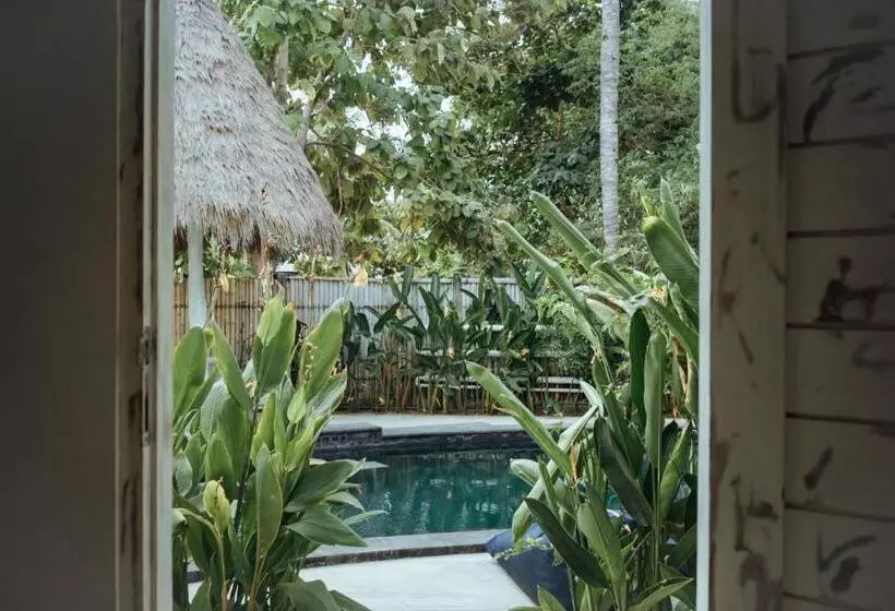 בית מלון כפרי Gili Amor Boutique Resort