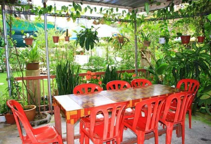 بنسيون Twin Pines