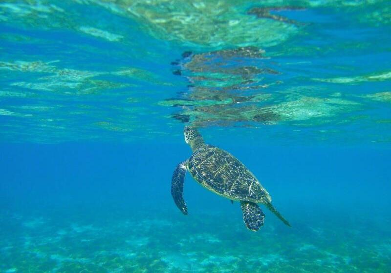 فندق Central Resort Miyakojima