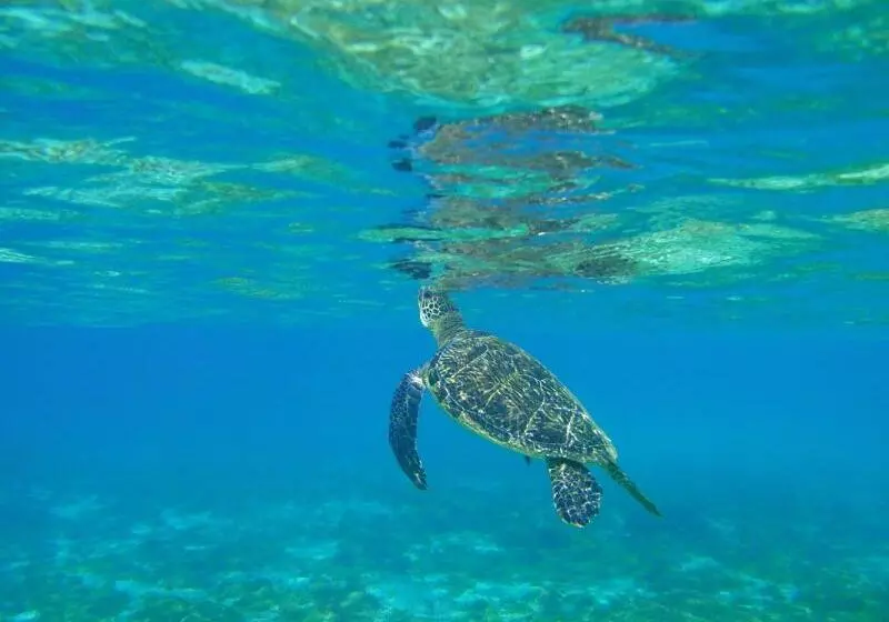 فندق Central Resort Miyakojima