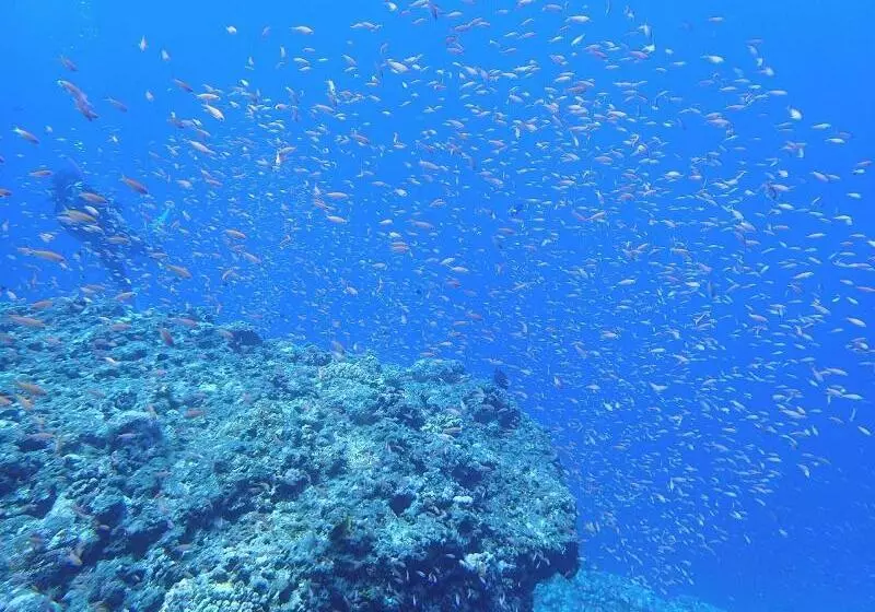 فندق Central Resort Miyakojima