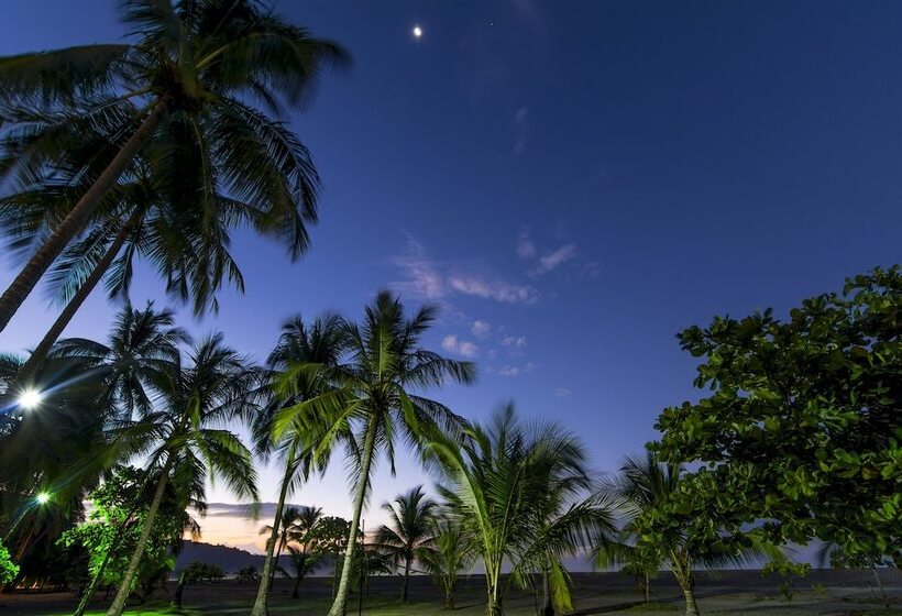 هتل Croc S Resort & Casino