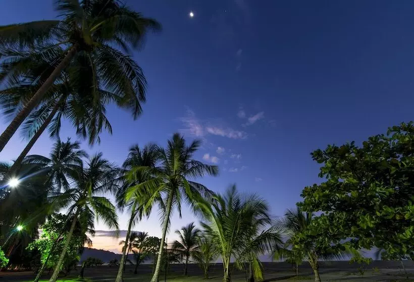 Hotel Croc S Resort & Casino