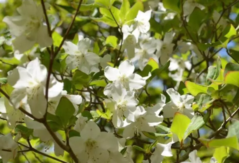 هتل Kyukamura Nasu