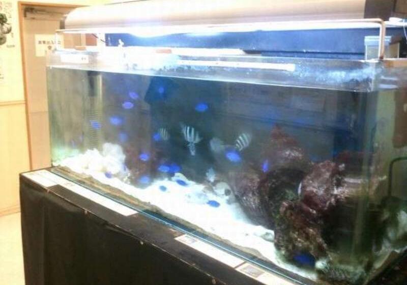 ホテル Peace Island Ishigaki In Yashima