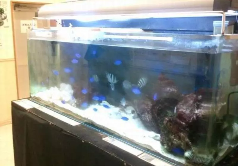 酒店 Peace Island Ishigaki In Yashima