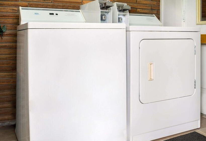 فندق على الطريق Rodeway Inn