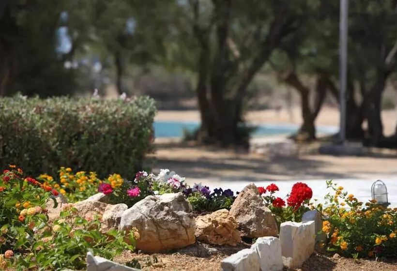 בית מלון כפרי Paros Inn