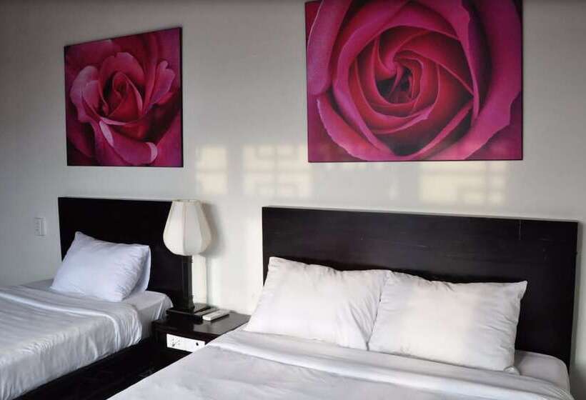 هتل Thanh Bình 2