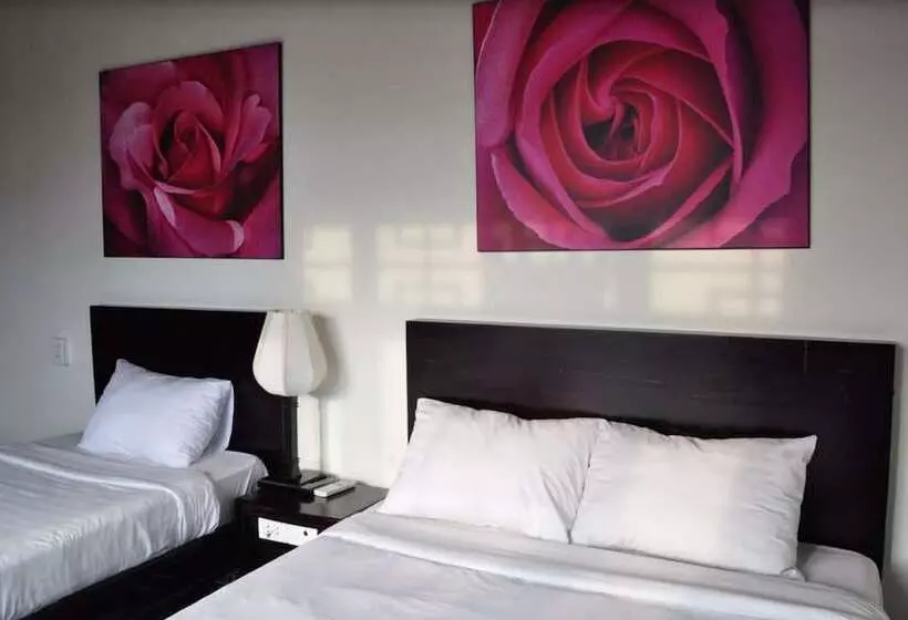 هتل Thanh Bình 2