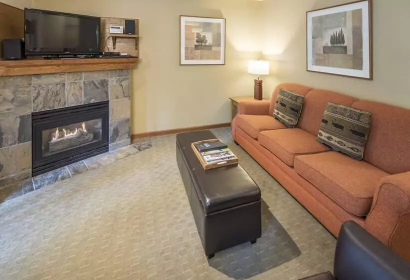 Northstar By Whiski Jack