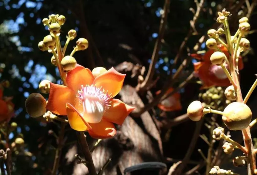 Пансион Changmoi House