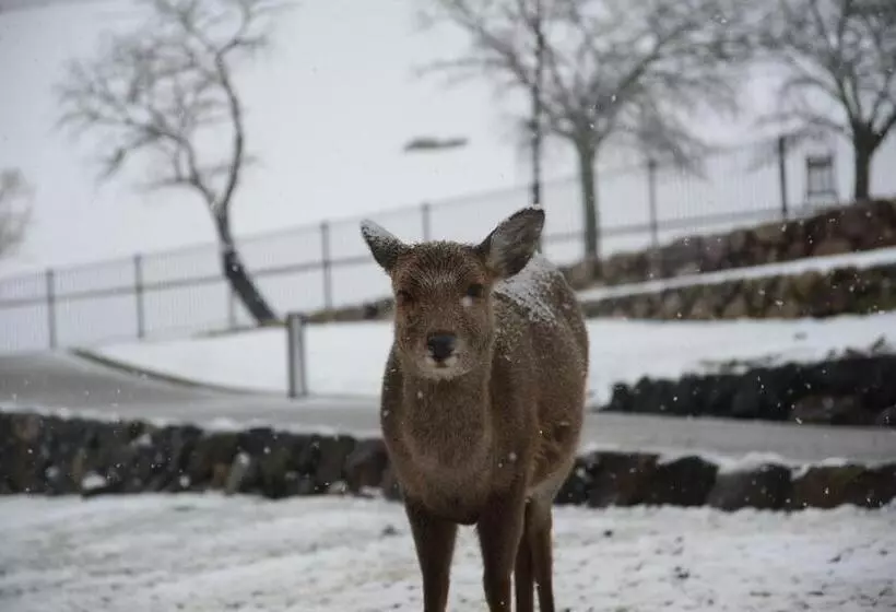 پانسیون The Deer Park Inn