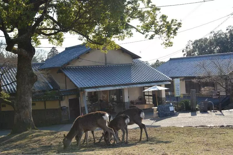 پانسیون The Deer Park Inn