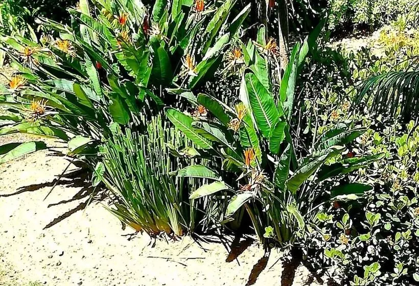 住宿加早餐 De Wingerd Wijnland Lodge