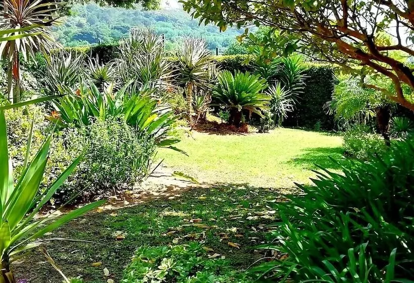 住宿加早餐 De Wingerd Wijnland Lodge