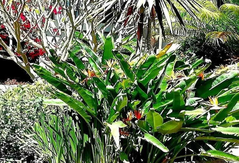 住宿加早餐 De Wingerd Wijnland Lodge