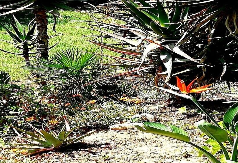 צימר De Wingerd Wijnland Lodge