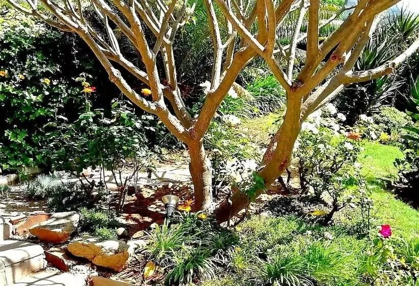 住宿加早餐 De Wingerd Wijnland Lodge