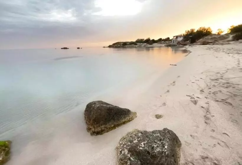 مبيت وإفطار The Garden