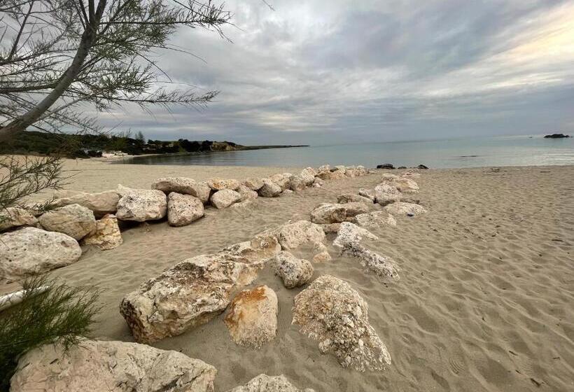 Bed and Breakfast The Garden