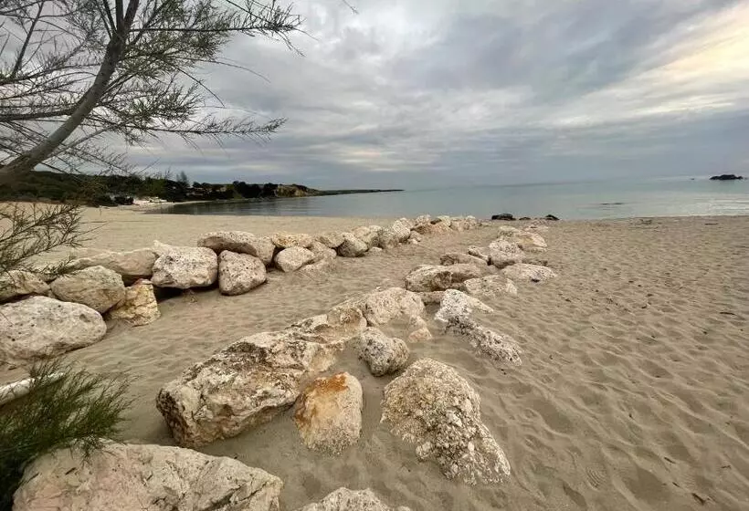 مبيت وإفطار The Garden