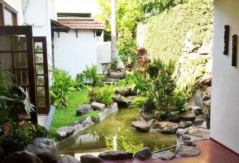 Bed and Breakfast Villa 34