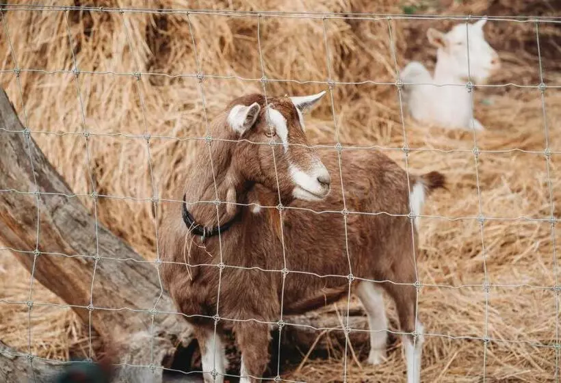 Freshwater Creek Cottages & Farm Stay