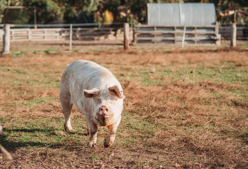 Freshwater Creek Cottages & Farm Stay