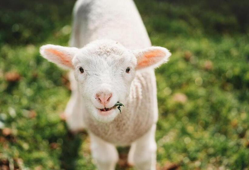 Freshwater Creek Cottages & Farm Stay