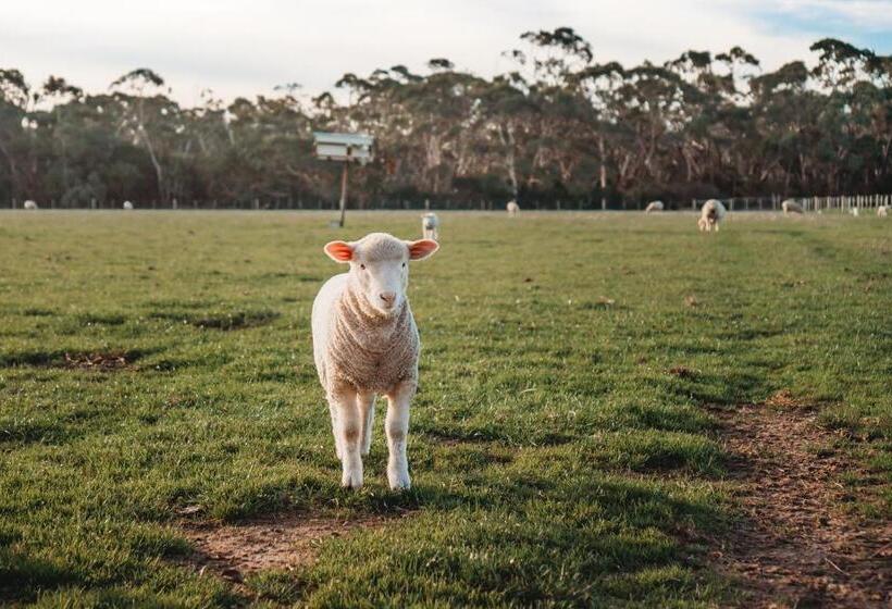 Freshwater Creek Cottages & Farm Stay