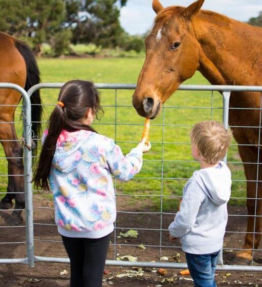 Freshwater Creek Cottages & Farm Stay
