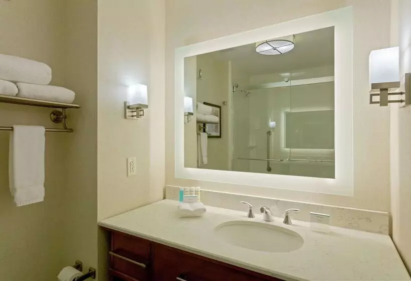 酒店 Homewood Suites By Hilton Richmond Downtown