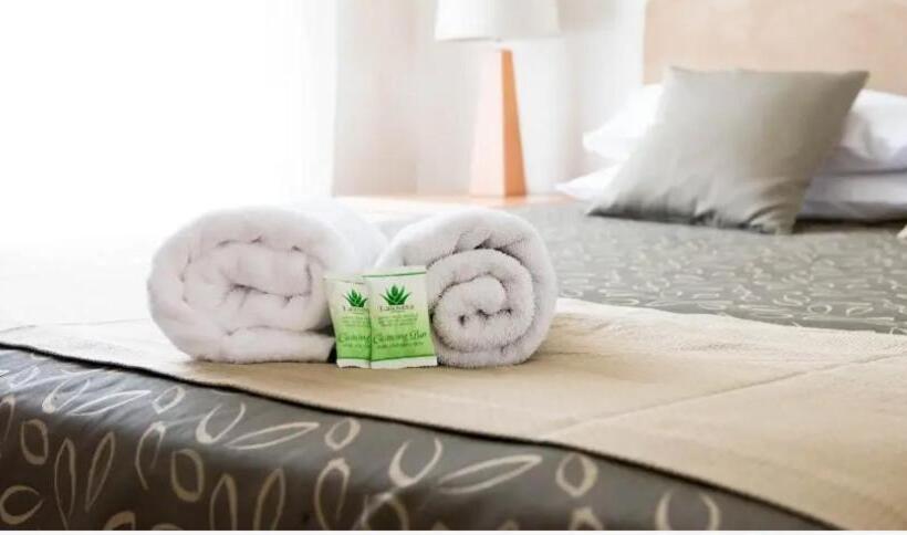 モーテル Capella Coach Inn