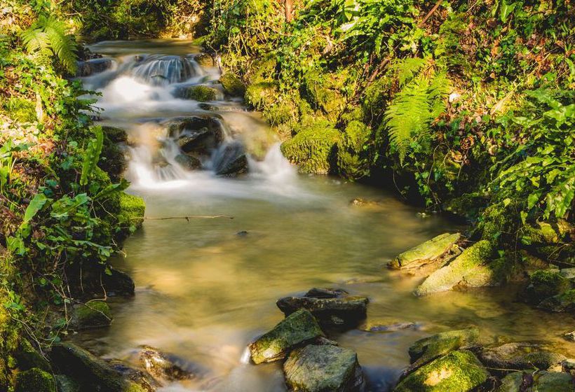 膳宿费 Bath Lodge Castle