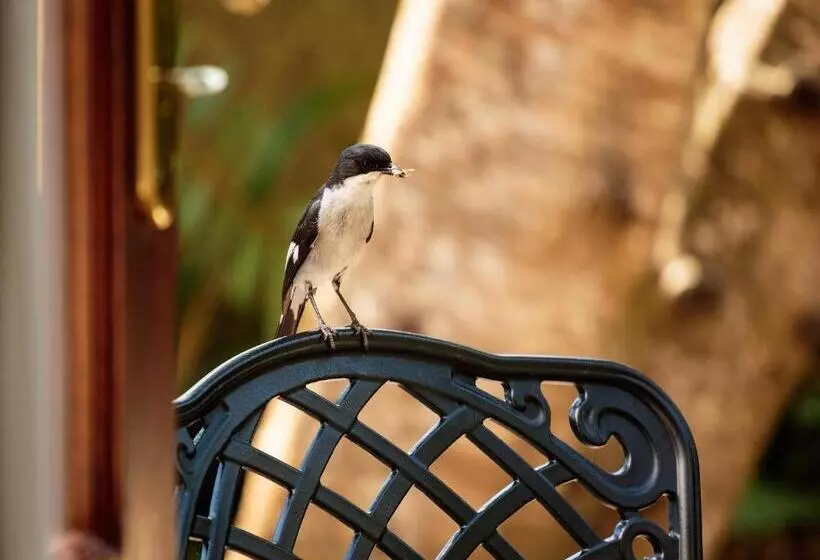 פנסיון Wilderness Manor