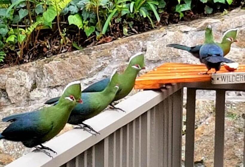 פנסיון Wilderness Manor