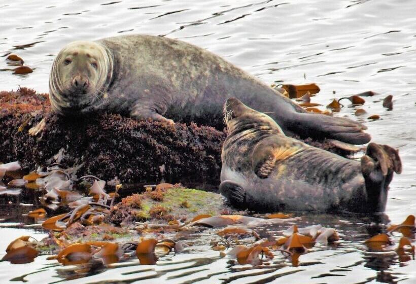 Pew With A View  Seafront Cottages