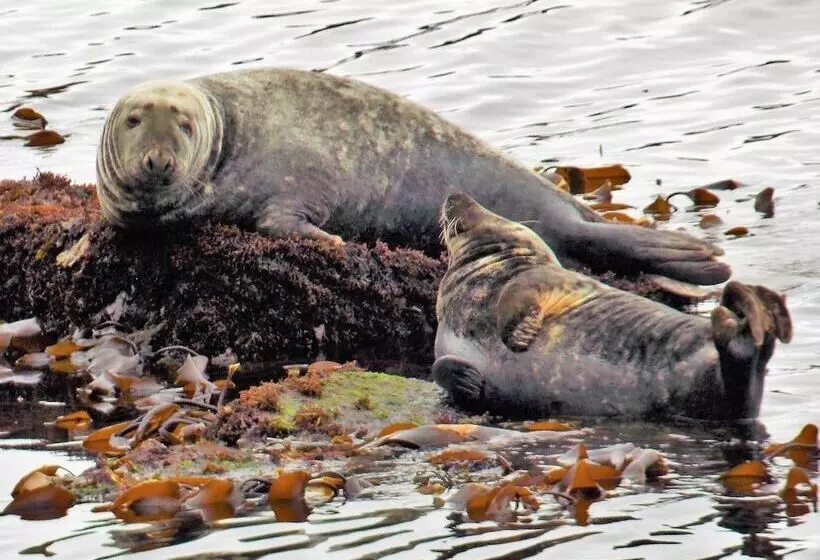 Pew With A View  Seafront Cottages