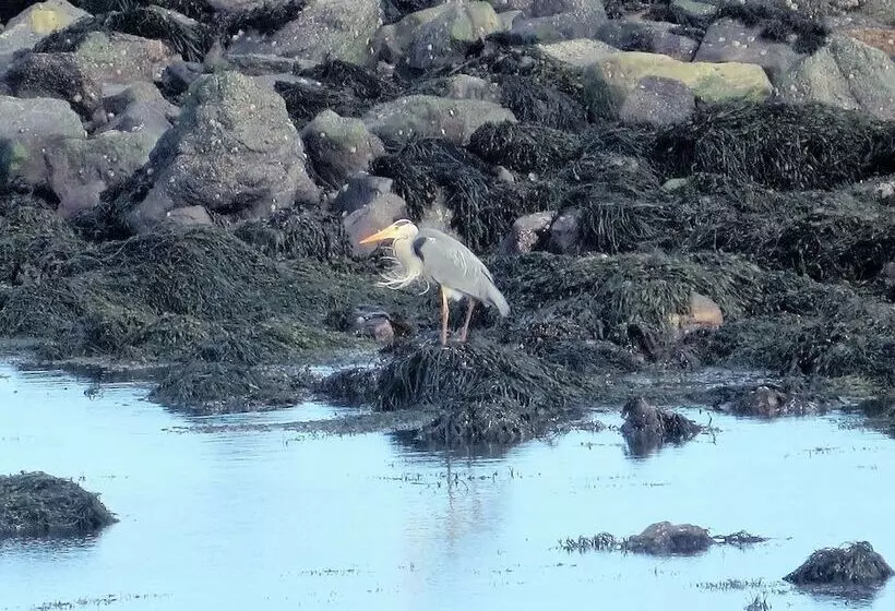 Pew With A View  Seafront Cottages