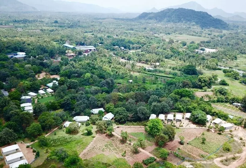 Rangiri Dambulla Resort