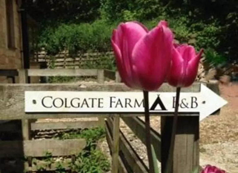 Bed and Breakfast Colgate Farm